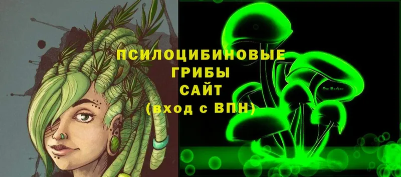 купить  сайты  Новомосковск  Галлюциногенные грибы Psilocybine cubensis 